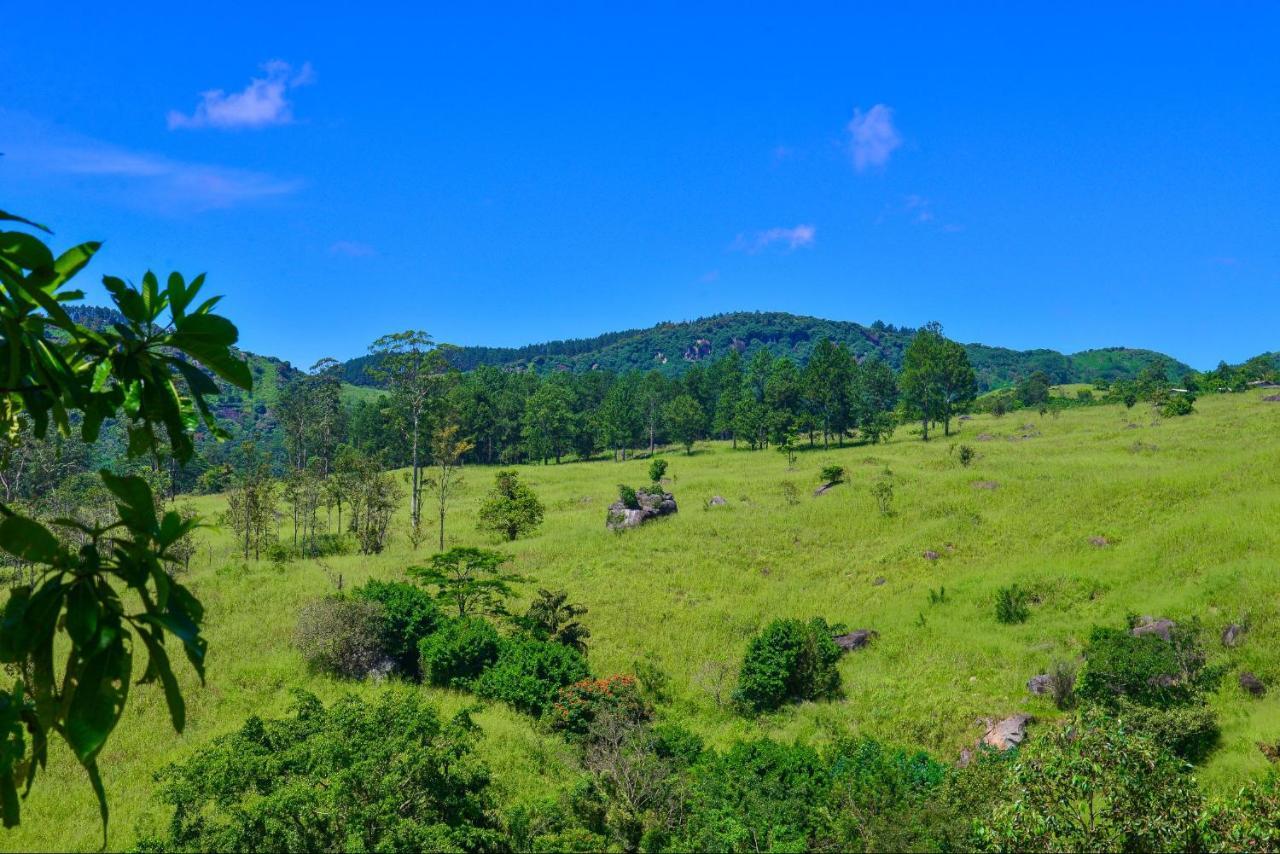 Lak Sewana Home Stay Kandy Bagian luar foto