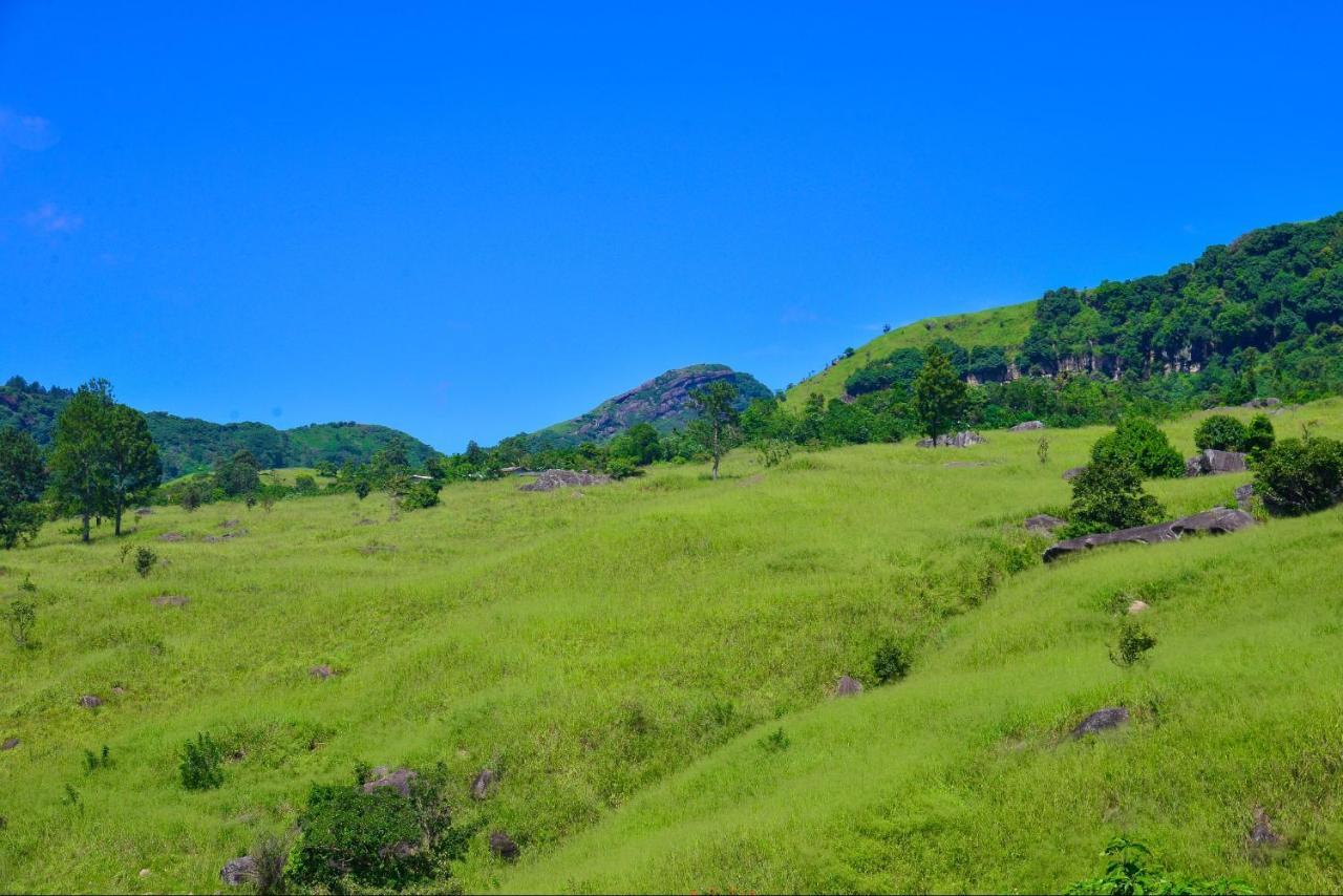 Lak Sewana Home Stay Kandy Bagian luar foto