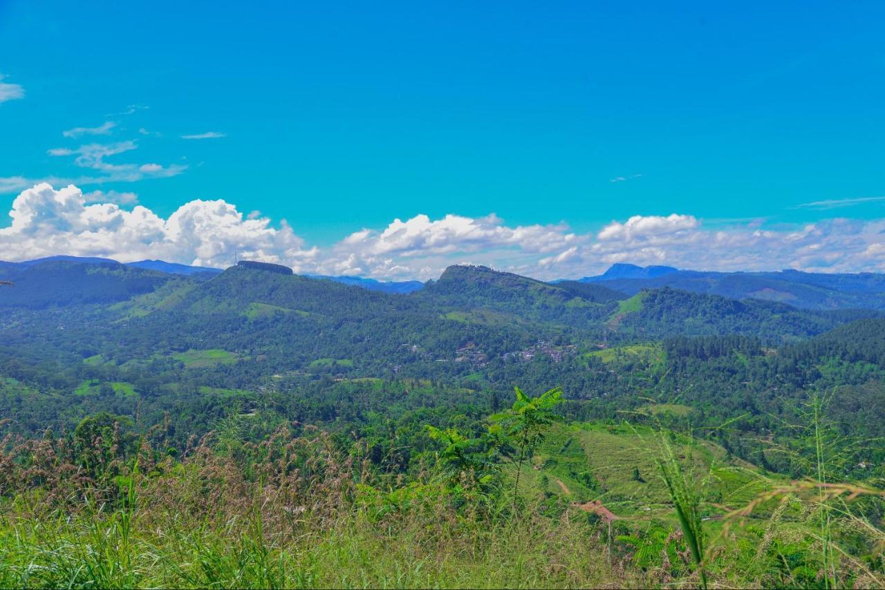 Lak Sewana Home Stay Kandy Bagian luar foto