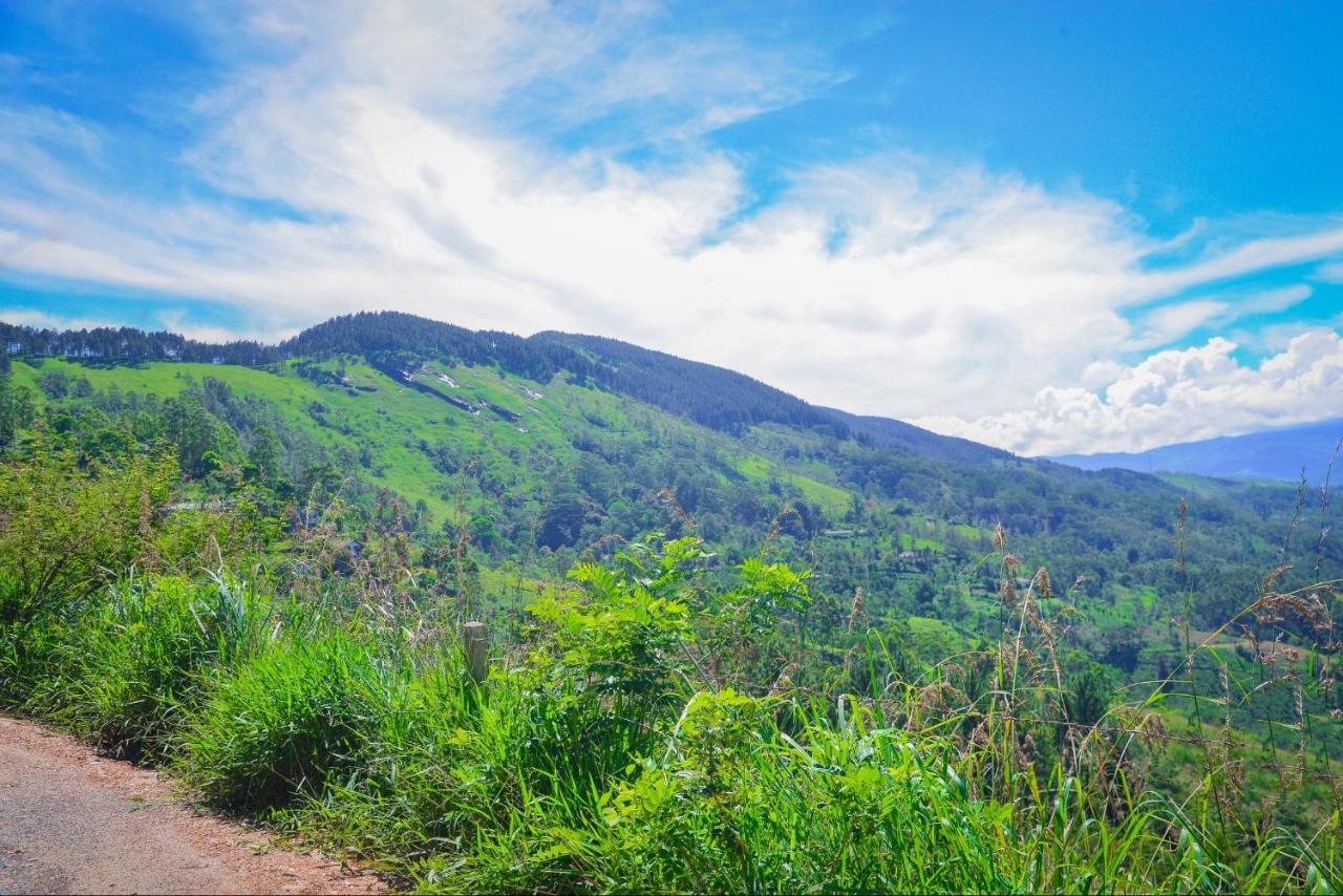 Lak Sewana Home Stay Kandy Bagian luar foto